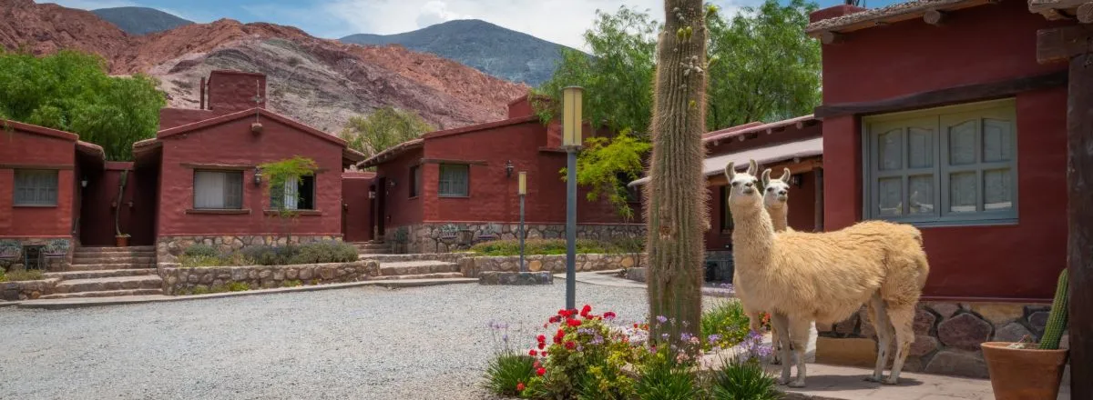 Hotels Ecohotel Posta de Purmamarca