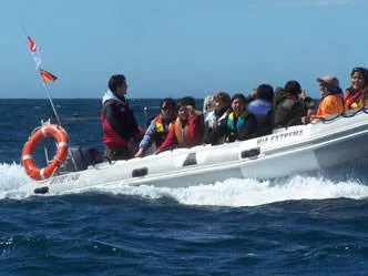 Ría Extrema Diving  in  Puerto Deseado