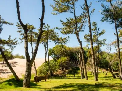 Cabins Flores del Bosque Cabins