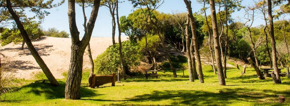 Cabins Flores del Bosque Cabins