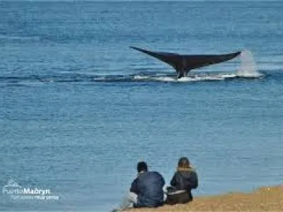 Waira Travel Travel and Tourist Agency  in  Puerto Madryn