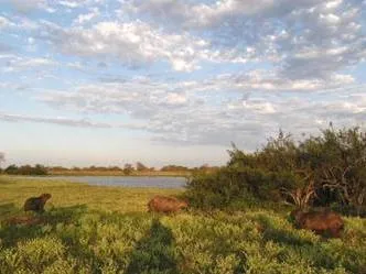 Yacare Tours Agencias de viajes y turismo  en  Posadas