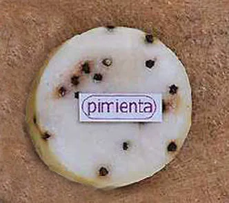 Quesos Artesanales Los Nadis