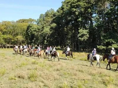 Hostelries Las Vertientes