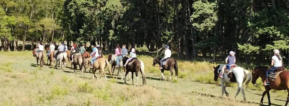 Hostelries Las Vertientes