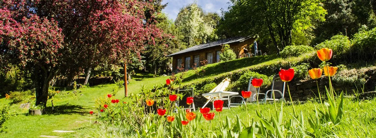 2-star Cabins Cabañas Villa Pañil