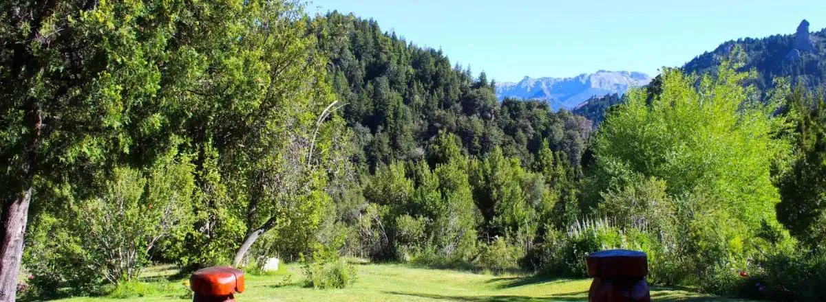 Cabins Río Minero cabins