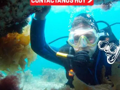 Abramar Buceo Diving  in  Puerto Madryn