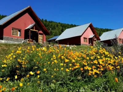 Cabañas  Yumbrel Cabins  in  Aluminé