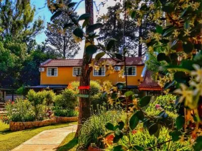 2-star Cabins El Viejo Ciprés