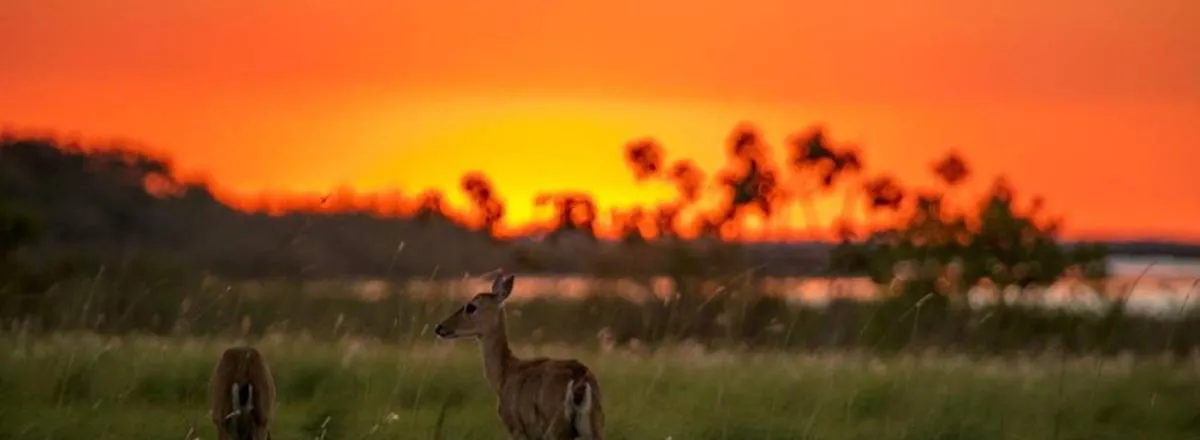 Lodging at Estancias Rincón del Socorro