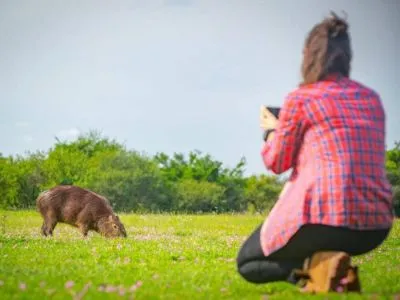 Rincón del Socorro Safáris fotográficos  en  Esteros del Iberá