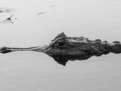Paseos Lacustres Posada de La Laguna