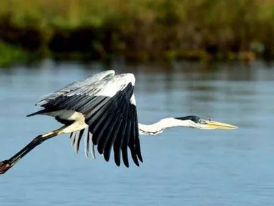 Posada de La Laguna Avistajes  en  Esteros del Iberá