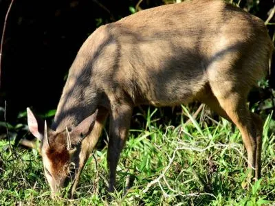 Cabalgatas Posada de la Laguna