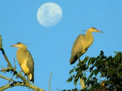 Ita I Cora Ecoturismo   en  Colón