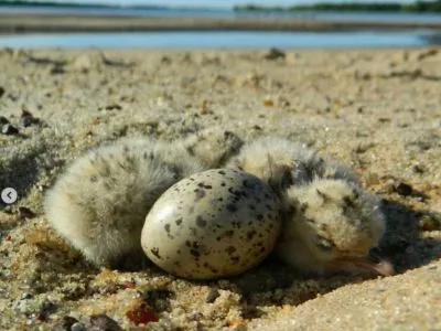 Ecoturismo  Ita I Cora