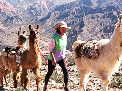 Turismo Aventura Caravana de Llamas