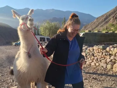 Turismo Aventura Caravana de Llamas