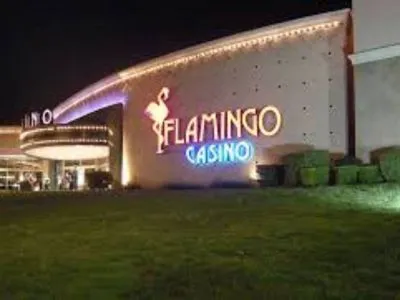 Casino Flamingo Restaurantes  en  Merlo San Luis