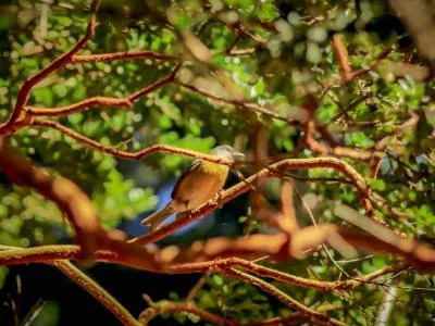 Ascensiones/Trekking Quetrihue Viajes y Turismo