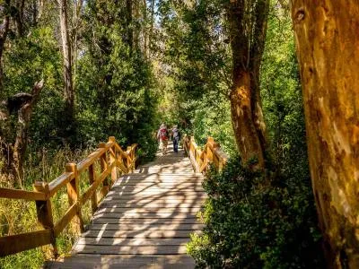 Travel and Tourist Agency Quetrihue Viajes y Turismo