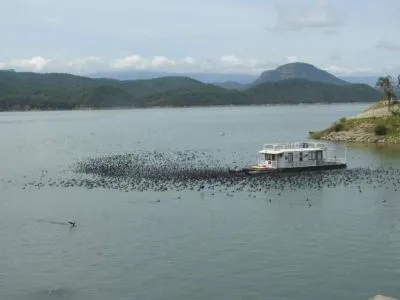 Campings Organizados Punta de Mahr