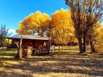 Quimey Hue Cabins  in  Aluminé