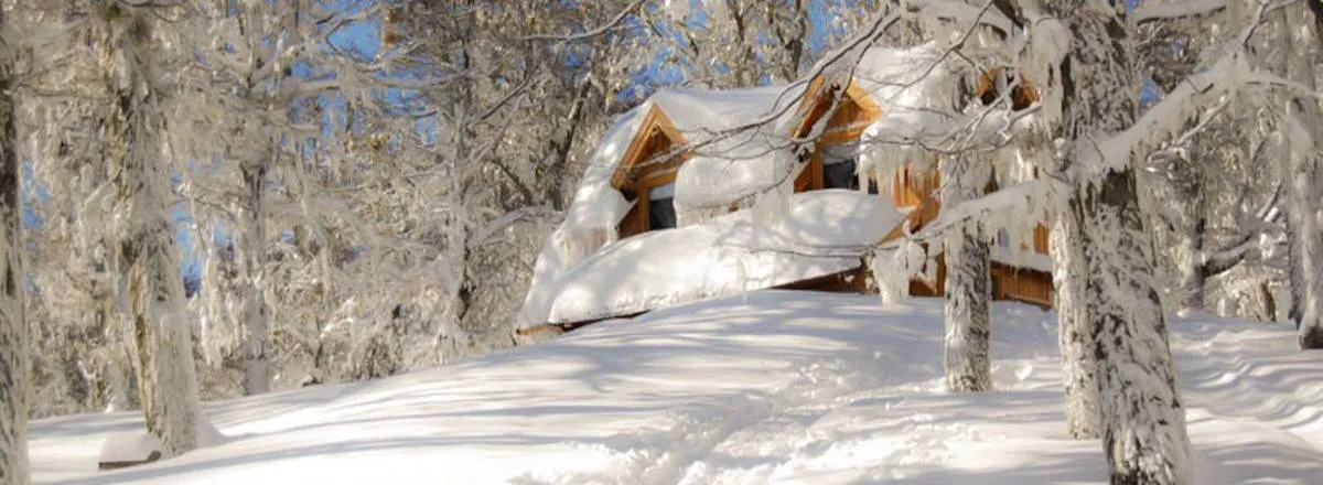 Cabins at Mount Chapelco Las Gaias