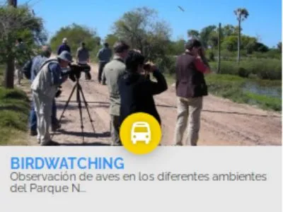 Travel and Tourist Agency IEMANJA - E.V.T