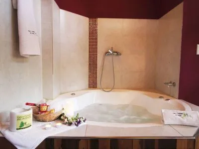 Cabins Cabañas y Spa del Puente