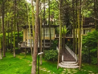 Sonidos del Bosque Apart Hotel 3-star Apart Hotels  in  Mar de las Pampas