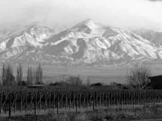 Geovix Agencias de viajes y turismo  en  Mendoza