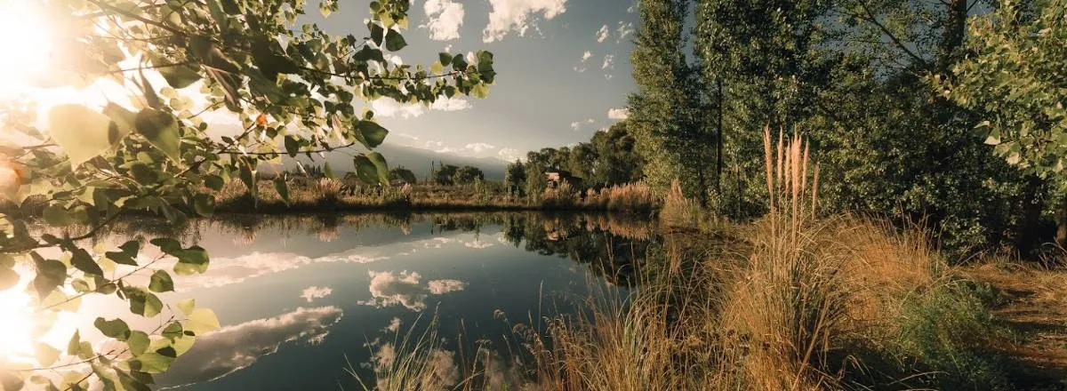 Camping Sites San Antonio