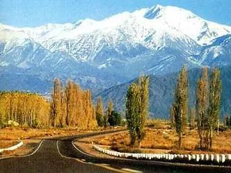 Latina Real Tours Agencias de viajes y turismo  en  Mendoza