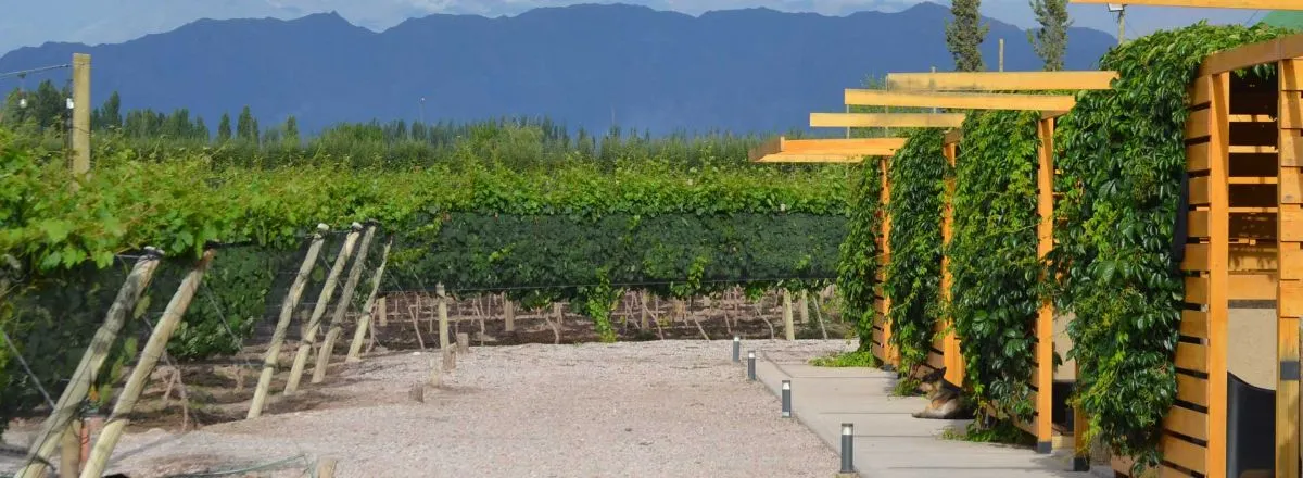 Cabañas Aldea Guay Antu