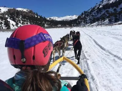 La Huella Adventure Travel  in  Caviahue