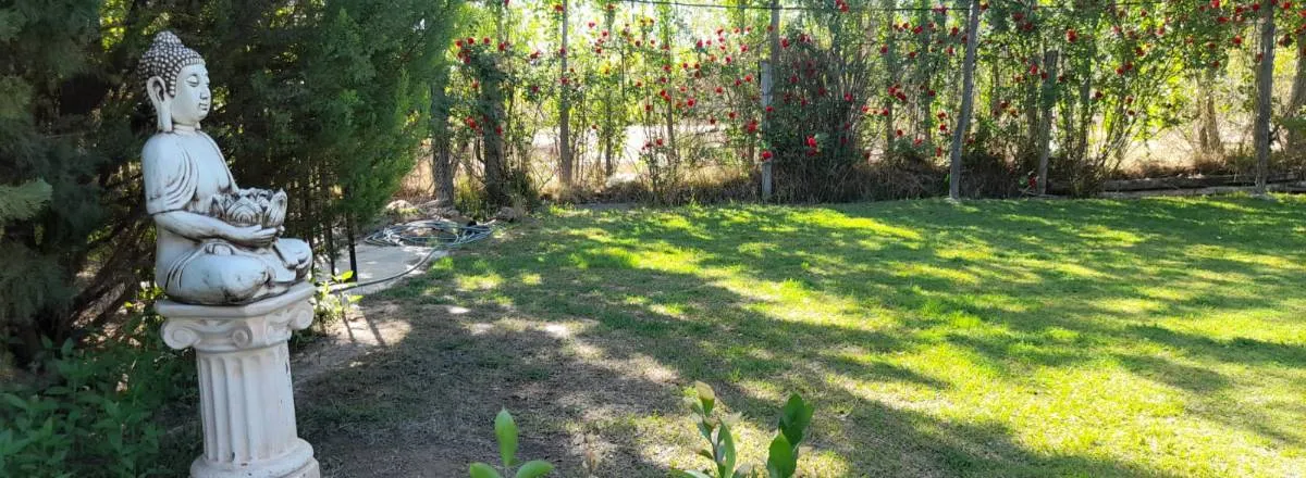 Cabins Complejo Valentín