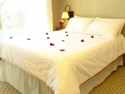 Hoteles 3 estrellas Terra Alta Apart Hotel