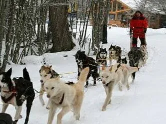 Valle de Lobos Travesías/expediciones con Trineo de Perros  en  Ushuaia