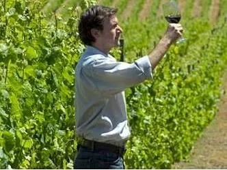 Wines Mendoza Wine Tours  in  Mendoza