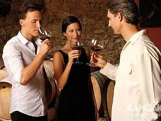 Kahuak Wine Tours  in  Mendoza