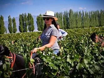 Wines Mendoza Agencias de viajes y turismo  en  Mendoza