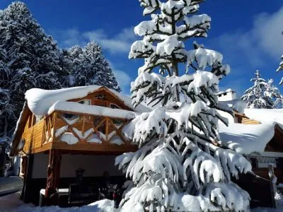 Establecimiento Leanday 1-star Cabins  in  Villa Pehuenia
