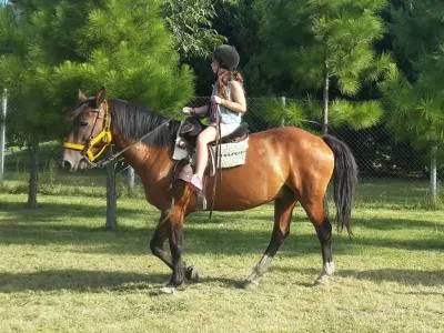 Hoteles 4 estrellas Bolacuá Hotel de Campo