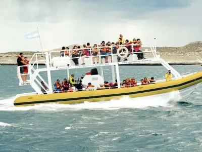 Avistajes Southern Spirit Yellow Submarine avistaje de ballenas en Puerto Pirámides