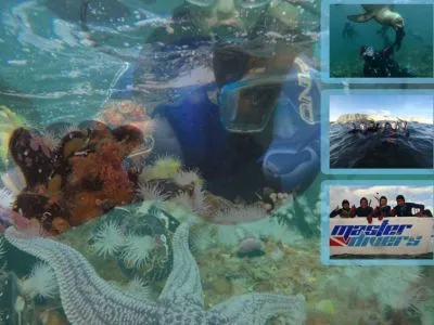 Master Divers Operadores de Servicios Turísticos  en  Puerto Madryn