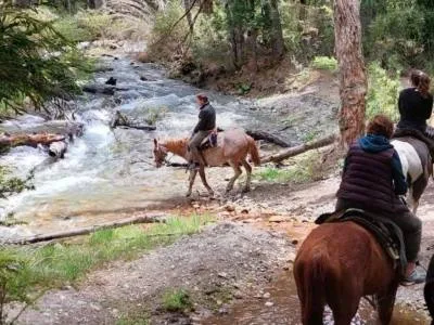 Cabalgatas Montahue Horseback Riding Trips  in  Villa La Angostura