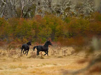 Fishing Outings Extreme Fishing Ushuaia
