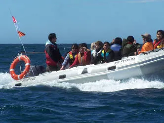 Patagonia Austral Expeditions Buceo  en  Camarones